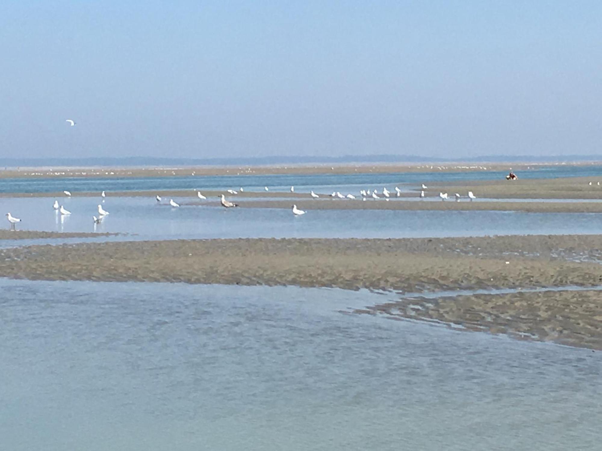 Maison De Pecheur Renovee A 3 Mn De La Mer. Cayeux-sur-Mer Kültér fotó