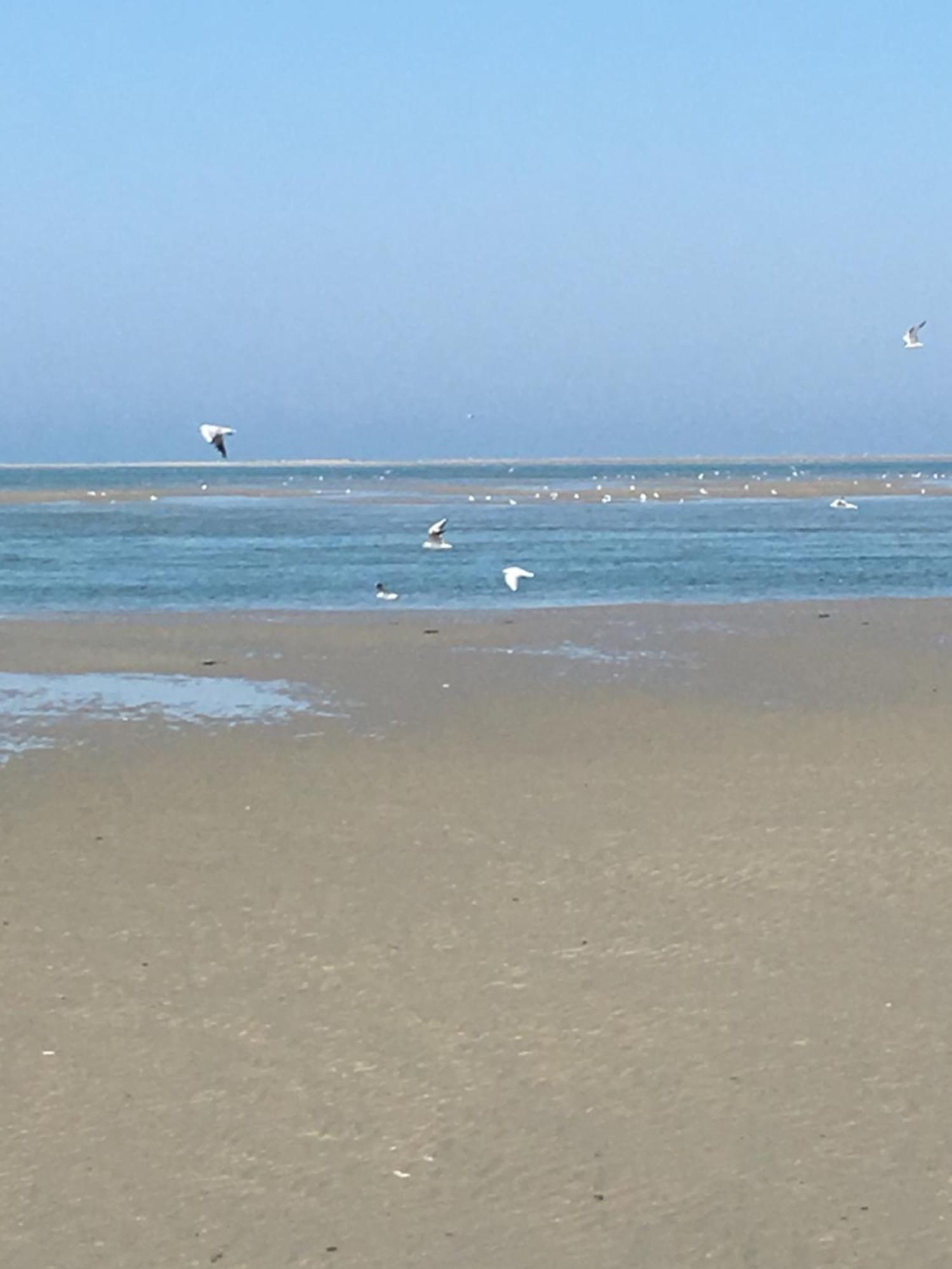 Maison De Pecheur Renovee A 3 Mn De La Mer. Cayeux-sur-Mer Kültér fotó