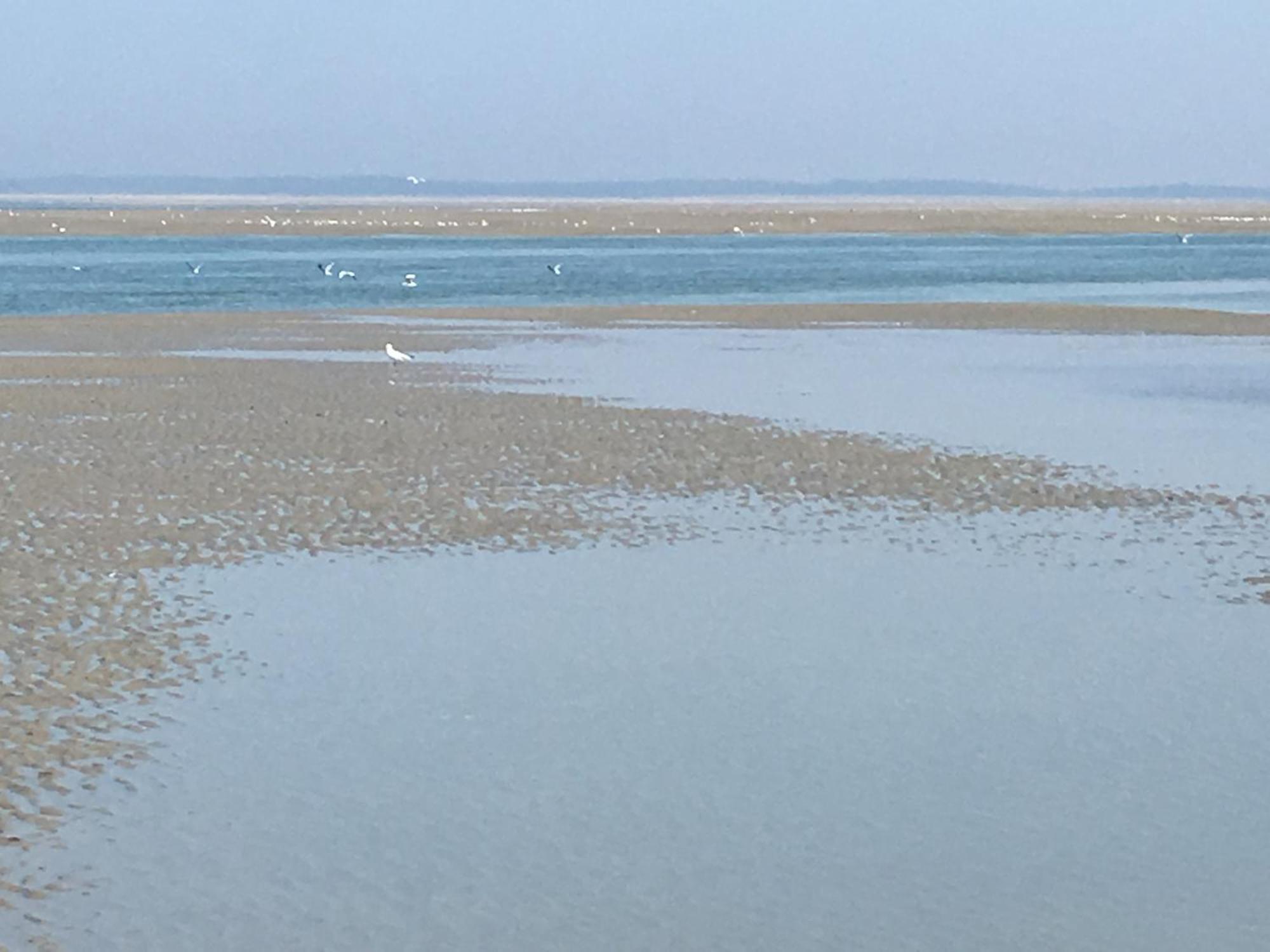 Maison De Pecheur Renovee A 3 Mn De La Mer. Cayeux-sur-Mer Kültér fotó